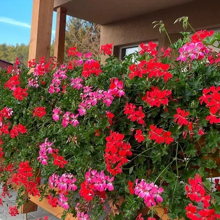 Appartement Naplemente Orfű