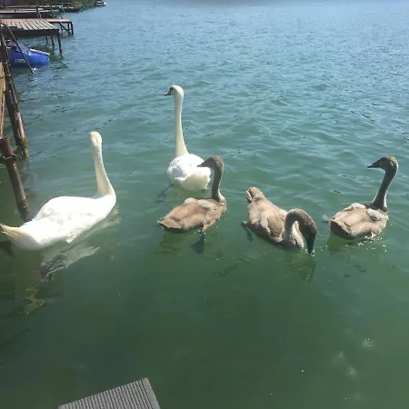 Appartement Naplemente